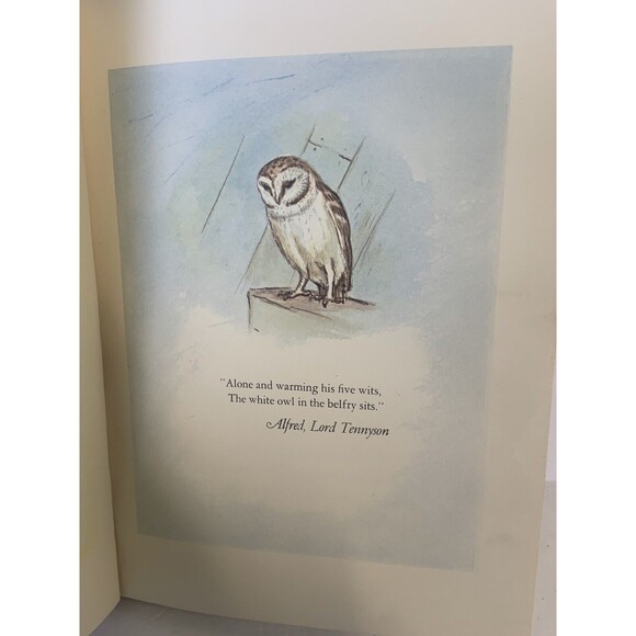 Tasha Tudor FIRST DELIGHTS A Book About The Five Senses / 1st Edition 1966 - Picture 4 of 10